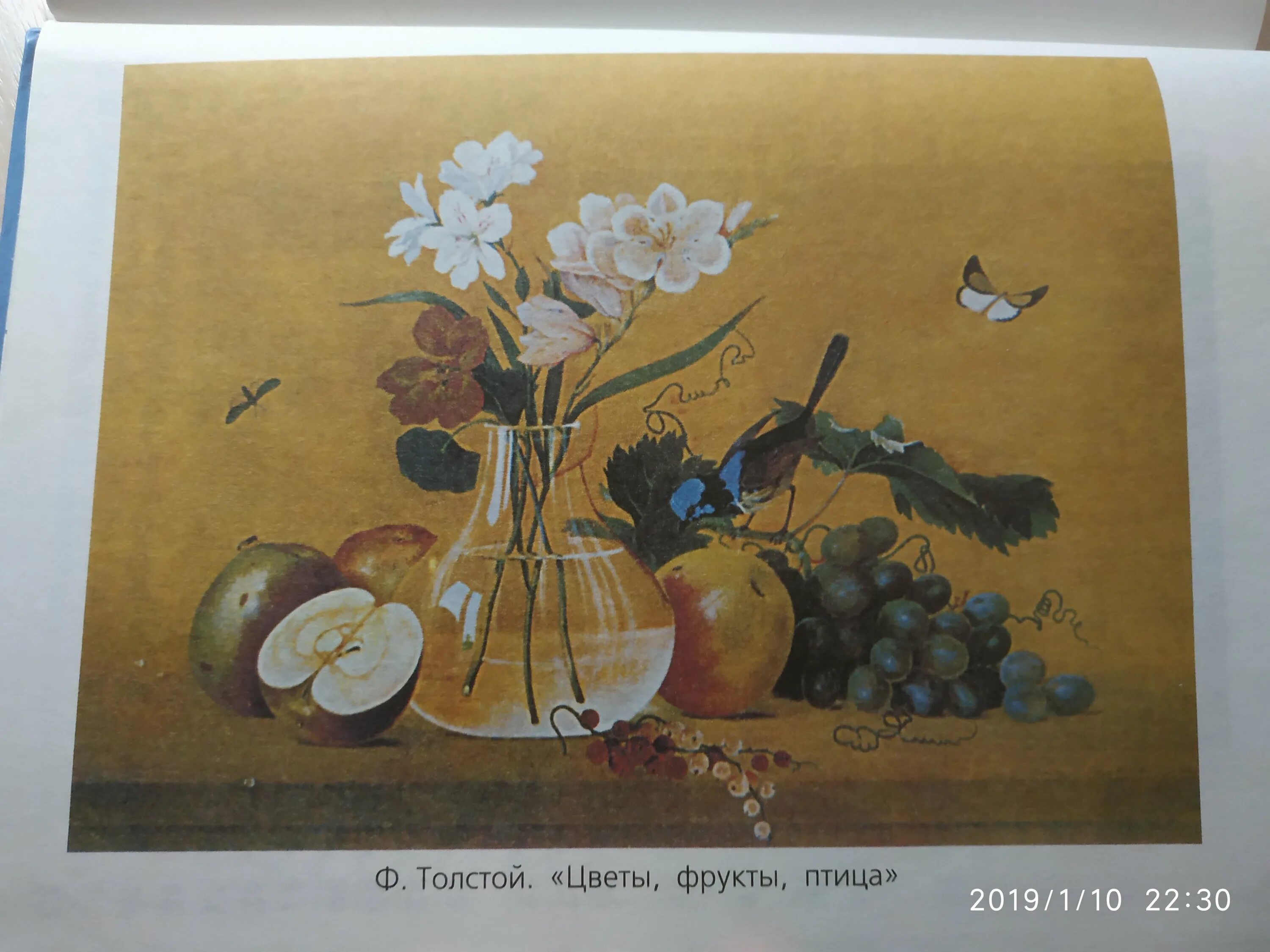 Картина толстого фрукты. Ф.П. Толстого "цветы, фрукты и птица". Фёдор Петрович толстой цветы фрукты. Ф толстой цветы фрукты птица. Картина ф Толстого цветы фрукты птица.