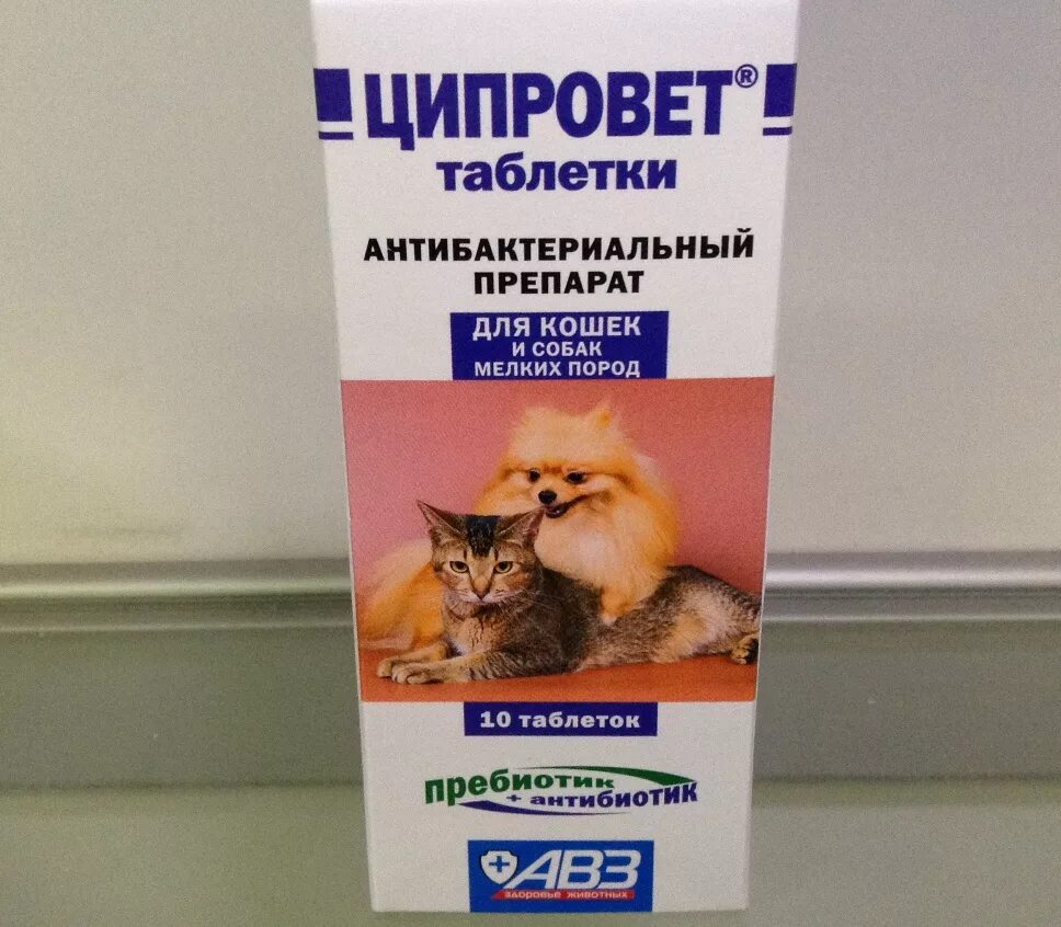 Жаропонижающее для животных. Глазные капли для животных ципровет. ципровет таблетки для кошек таблетки. ципровет антибиотик для кошек. ципровет антибактериальный препарат.