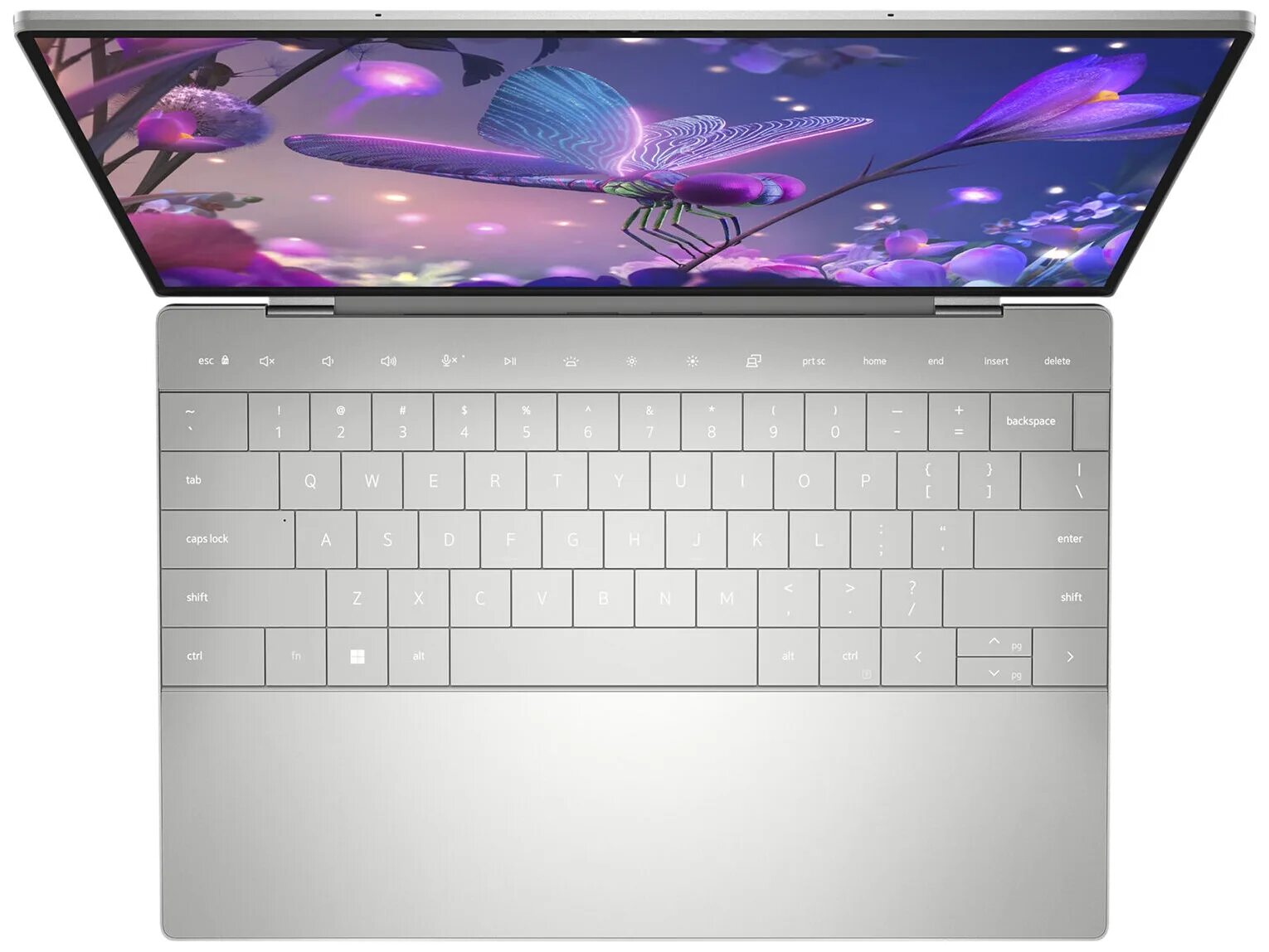 Dell xps 13 plus. Dell XPS 13 Plus 9320 4k. Ноутбук. XPS 9320. Dell XPS 13 XPS 9320. Dell XPS 13 плюс 9320 i7-1260p.