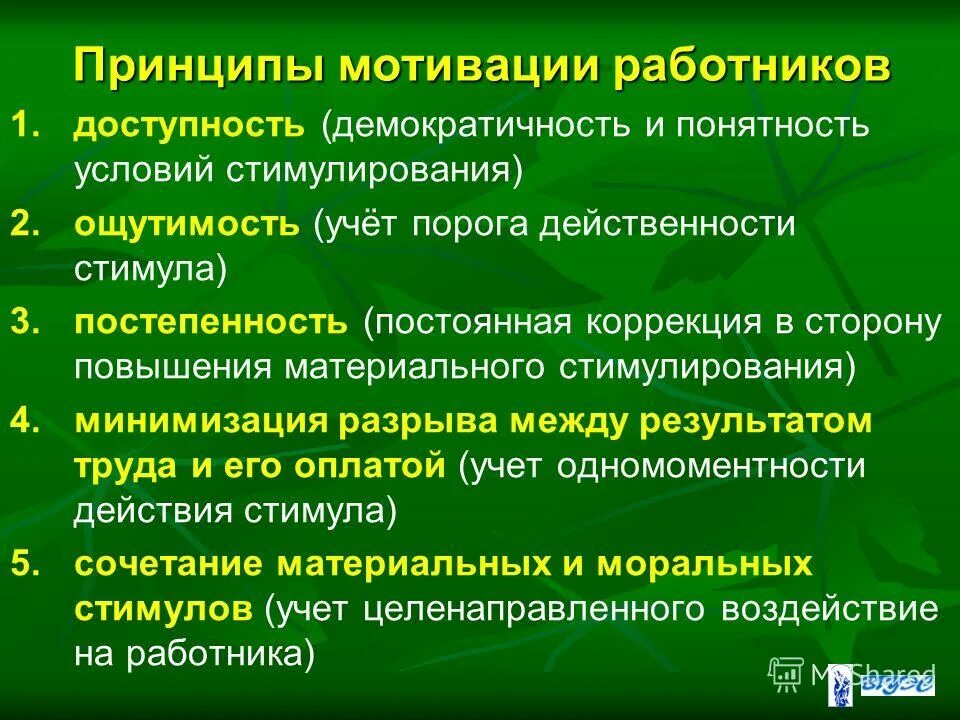 Принципы мотивации в менеджменте. Принцип доступности мотивация. Принципы стимулирования персонала. Принципы мотивации персонала.