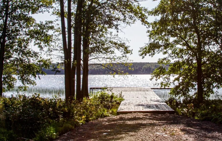 Макаровское озеро ленинградская область. Озеро белое валдайский район. Озеро меднозаводский разлив. Токаревское озеро ленинградская область. Озеро иванье валдай.