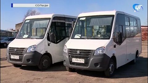 Автобусы сольцы