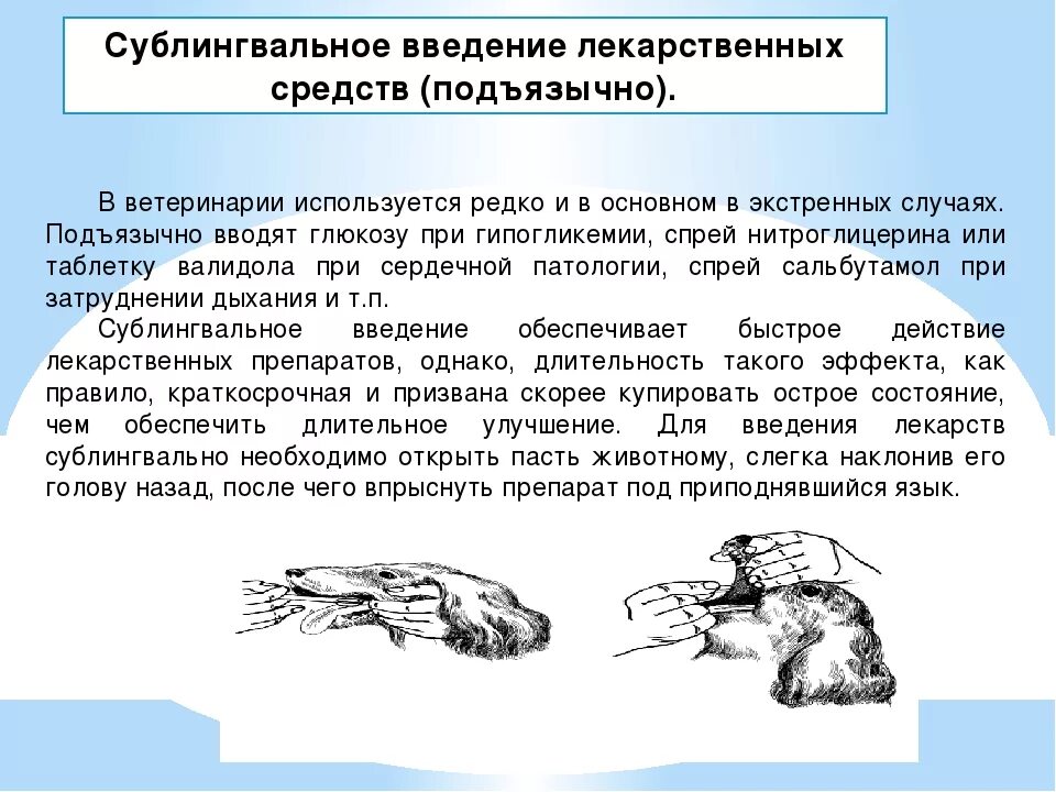 Введение лекарственных препаратов. Введение лекарственных препаратов. Способы введения лекарственных препаратов. Разновидность парентерального пути введения лекарственных. Внутривенный путь введения лекарственных средств.