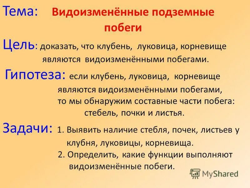 цель побега цитаты