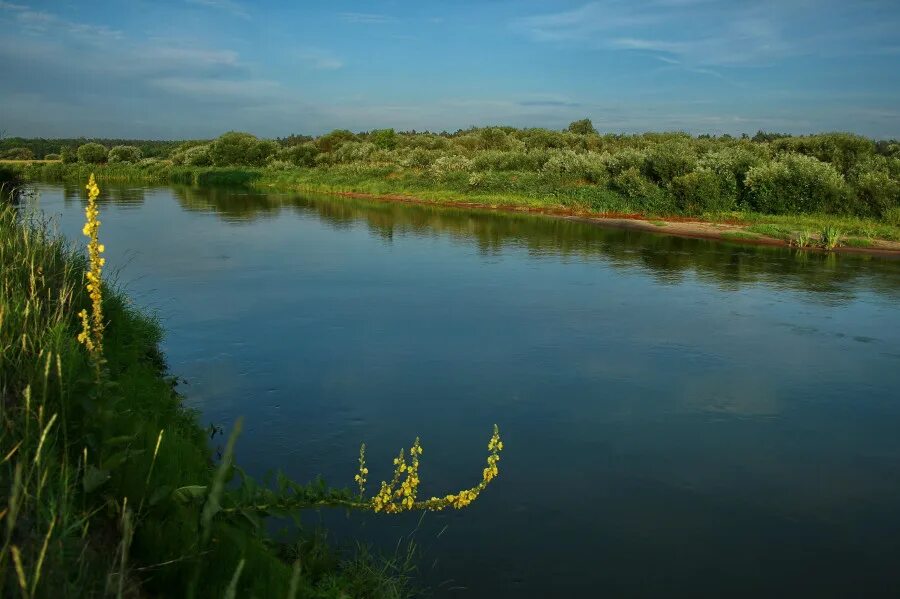 Река ея Старощербиновская. Река ея Краснодарский край станица Старощербиновская. Станица Новопокровская река ея. Река ея Краснодарский край. Река ея рассказ