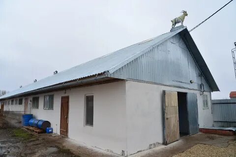 Павловка саратовская область
