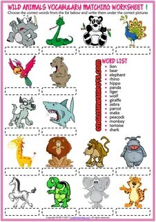 Animals exercises