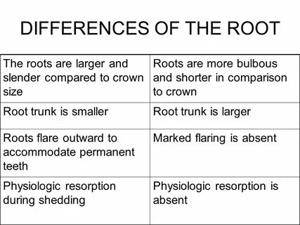 Floors have teeth