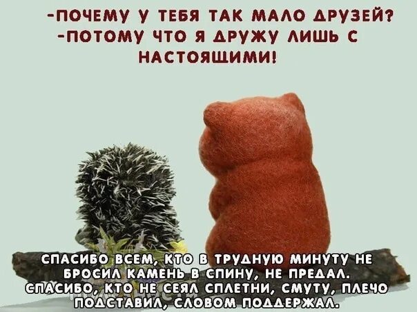 Друзей выбираем мы сами. Друзей выбираем мы сами а лучших оставляет время. Друзей выбираем мы сами но лучших оставляет время. Друзей выбираем сами но лучших оставляет время. Друзей мы выбираем сами но лучших оставляет время цитата.