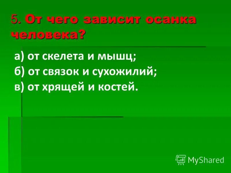осанка зависит от. от чего зависит осанка. от чего зависит осанка человека человека. от чего зависит осанка человека. от каких органов зависит осанка человека 3 класс окружающий мир.