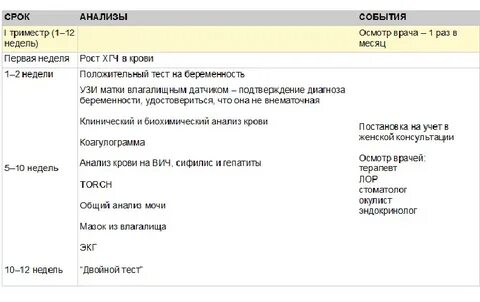 Анализы в первый триместр беременности