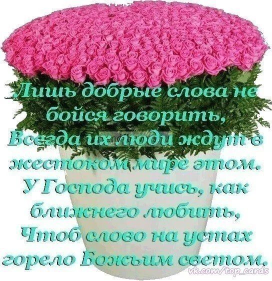 Красивые стихи хорошему человеку. Красивые теплые слова. Добрые слова женщине. Хорошие слова подруге. Сказать добрые слова хорошему человеку.