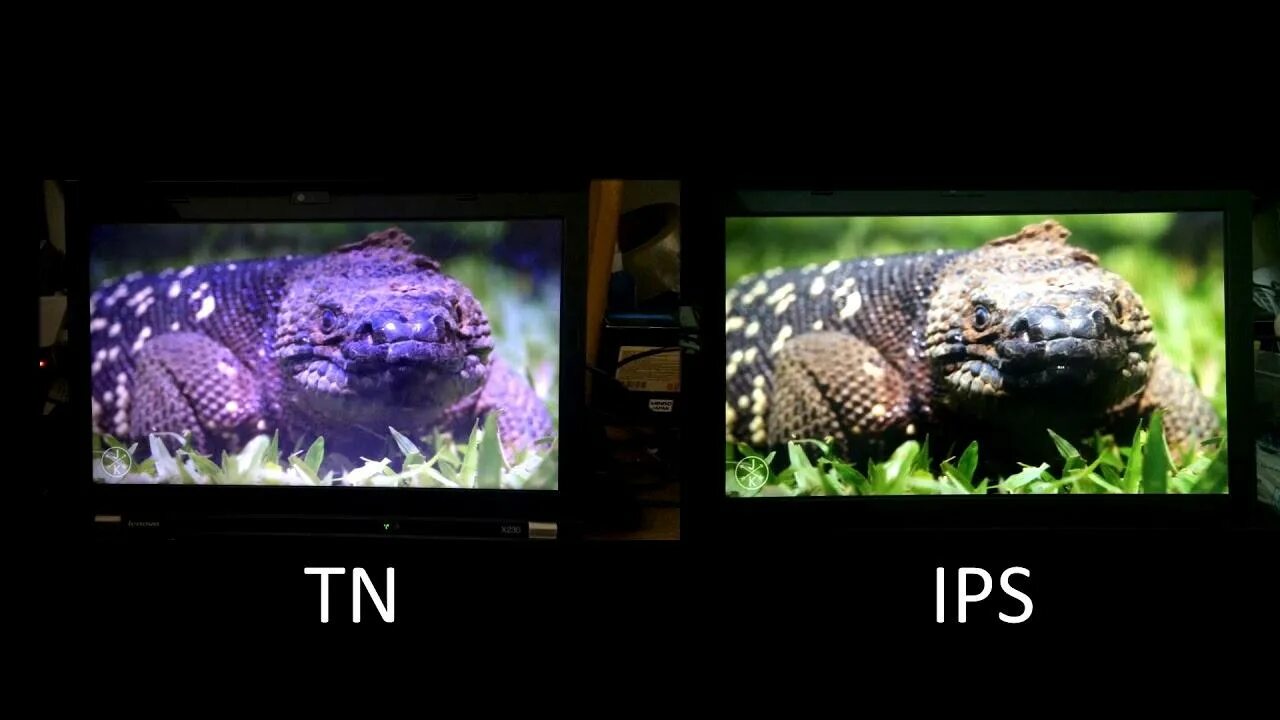 Тип дисплея экрана ips. Матрица монитора tn ips va. tn матрица vs ips. типы мониторов ips va tn. tn vs ips цветопередача.