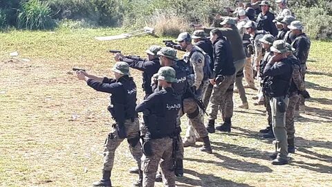 Чвк forward observations