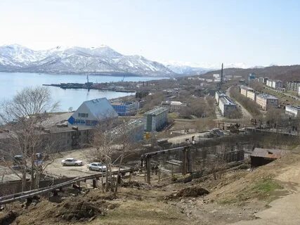 Рыбачий камчатка