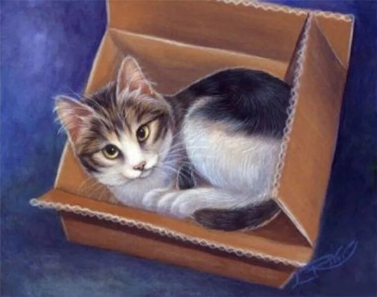 Кот в коробке в живописи. Помещица коробочка мертвые души. Кот в коробке рисовать. Внешний портрет коробочки. Настасья петровна коробочка.