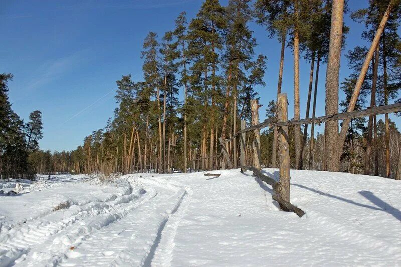 Погода п колтубановский. Колтубановский Бузулукский Бор. Поселок Колтубановский Бузулукский Бор. Колтубановский Оренбургская область. Дубрава Колтубановский Бузулукский Бор.