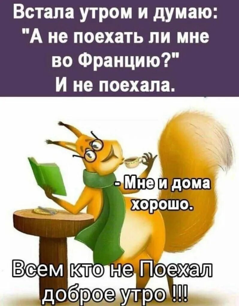 Ехать на работу или уехать из страны и начать новую жизнь. День самопознания картинки. Не пойти не поехать. Кукуха рисунок. Пошло поехало мем.
