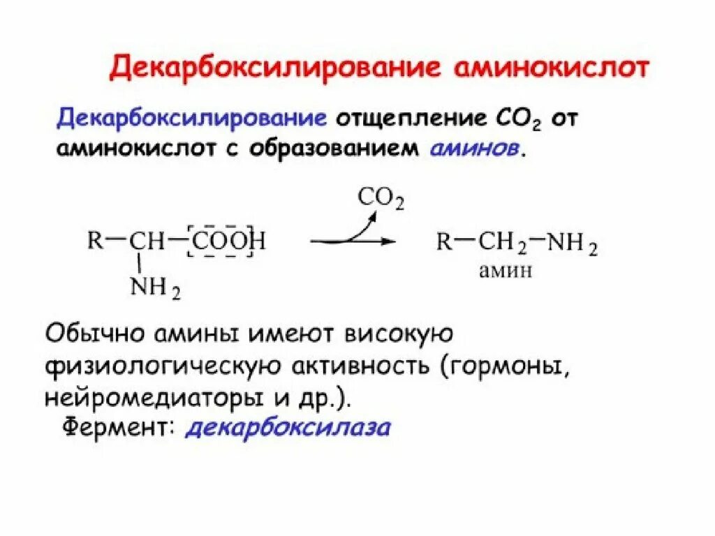 Декарбоксилирование аминокислот общий вид реакции. Декарбоксилирование аминокислот в6. Схемы реакций декарбоксилирования аминокислот. Декарбоксилирование треонина реакция. Декарбоксилирование аминокислот реакция