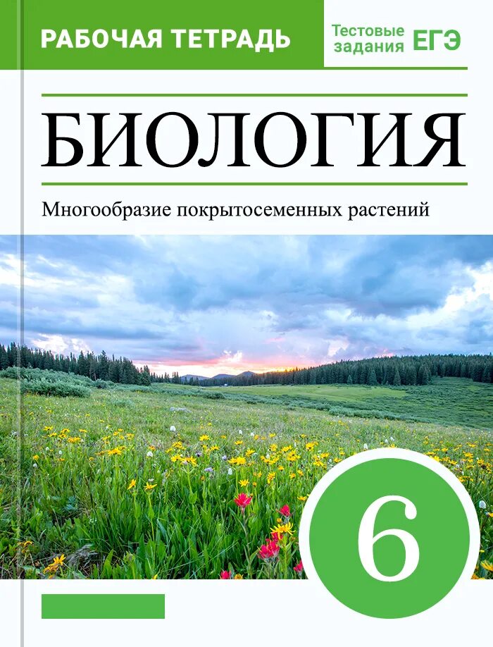 16 параграф пасечник биология 6 класс учебник. Биология 6 класс рабочая тетрадь Пасечник. Рабочая тетрадь по биологии 6 класс Пасечник. Биология 6 класс учебник Пасечник рабочая тетрадь. Пасечник в. в. биология. 6 Класс // Дрофа..