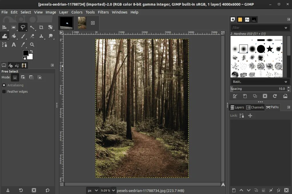 Gimp прикладные программы. Gimp видеоуроки. ретушь программа гимп. gimp растеризация слоя. насыщенность в джимп.