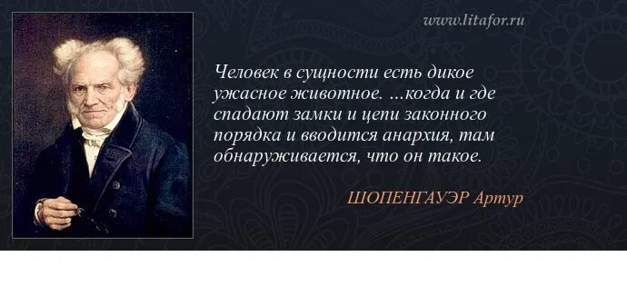 Слуяайности ре случаыны. Мудрые высказывания сократа. Высказывания про высшее образование. Цитаты великих людей о чудесах. Большинство людей идиоты.