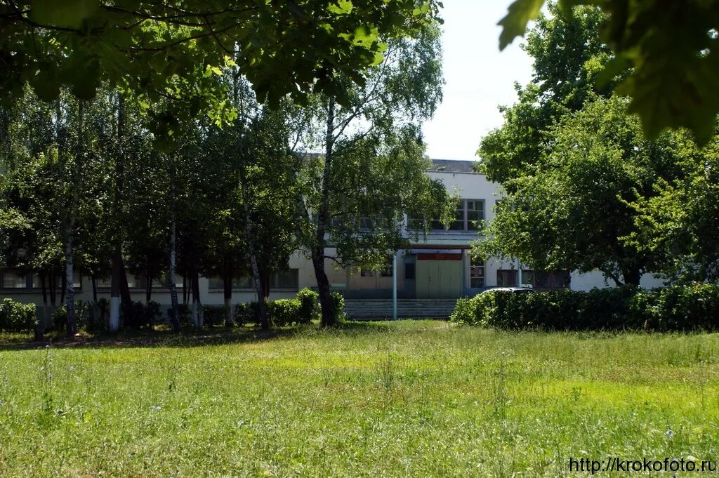 школы города щекино. 12 школа щекино. школы города щекино. школы города щекино. рыльский район село щекино.