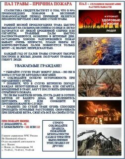 Почему пал