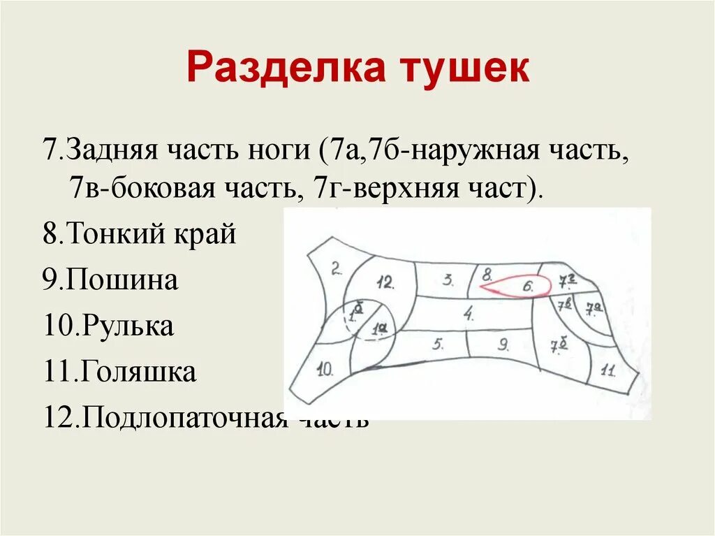 Разруб туши говядины. Схема разделки говяжьей туши. Боковая и наружная части задней ноги говядины. Схема разруба говяжьей задней ноги. Верхний тонкий край