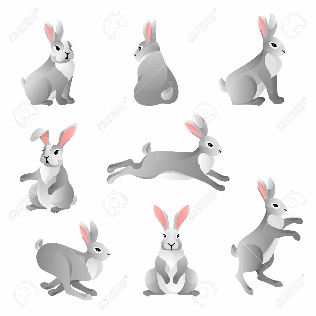 Rabbit set