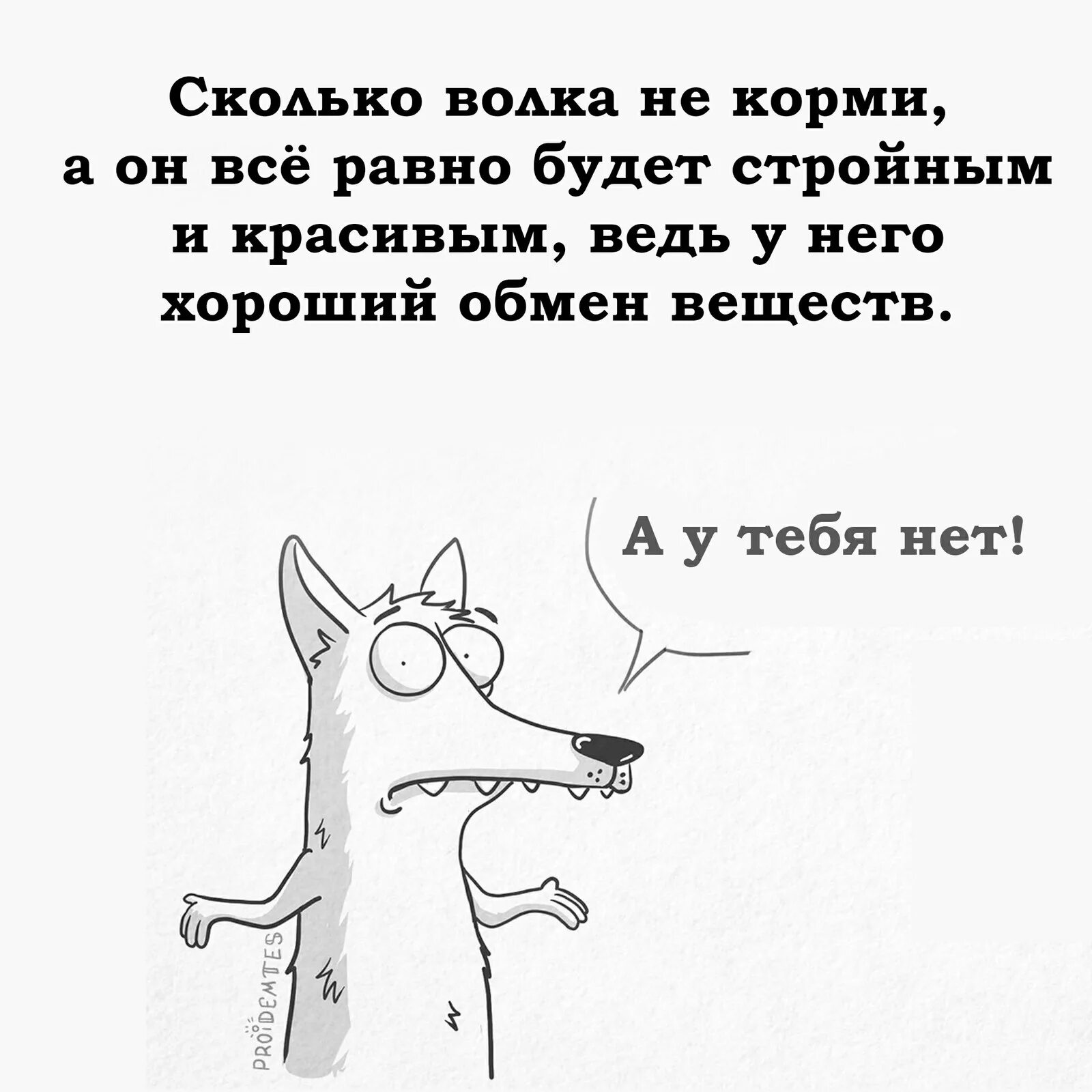 Пословица сколько волка не корми. Сколько волка не корми он все равно. Сколько волка не корми все. Сколько волка не корми пословица. Сколько волка.