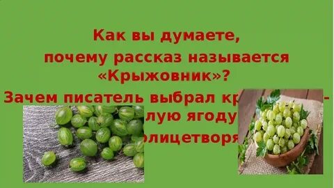 Крыжовенный как пишется