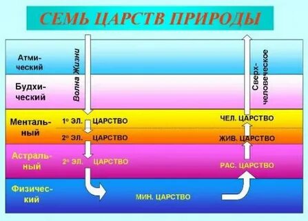 Буддхи