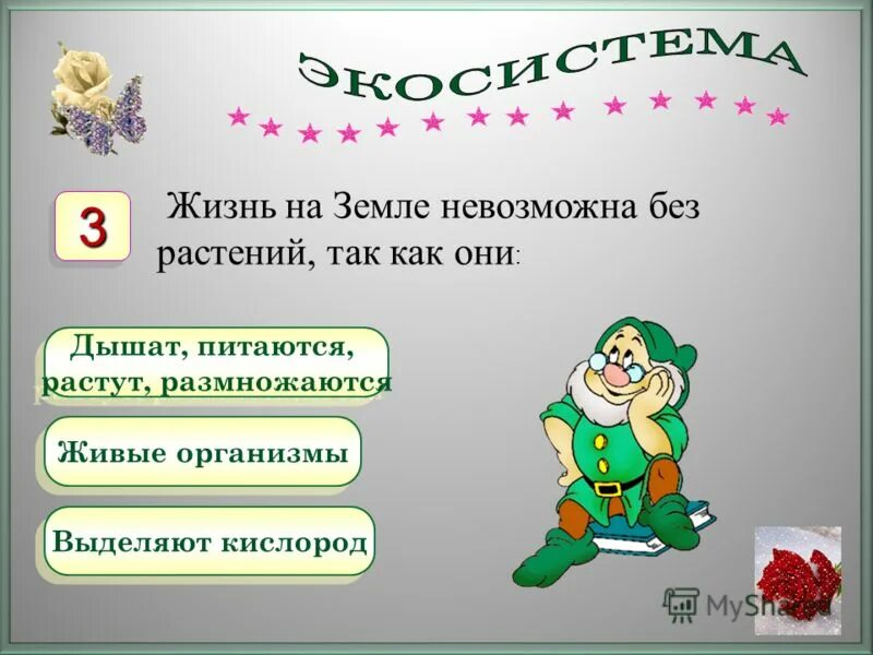 жизнь без растений невозможна. почему жизнь без растений невозможна. жизнь на земле невозможно без растений. без чего невозможна жизнь растений. тема цель вывод проект.