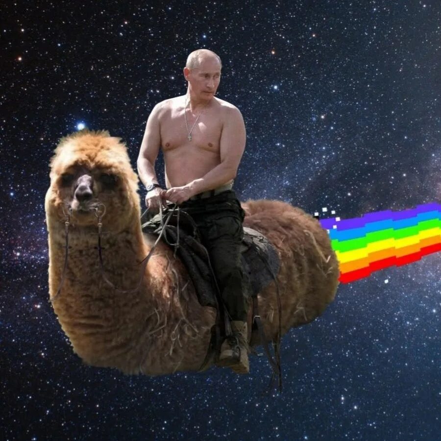 Монтаж мемов. Монтаж мемов
