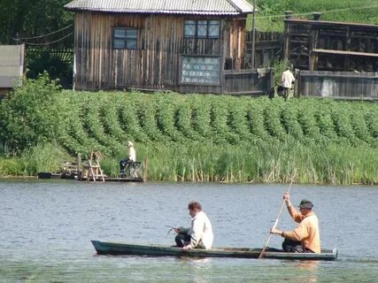 Погода ертарский свердловская область на 10 дней