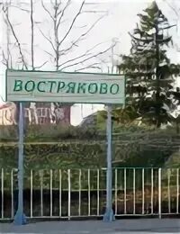 Востряково белые