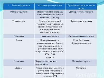 Ферменты урок 10 класс биология