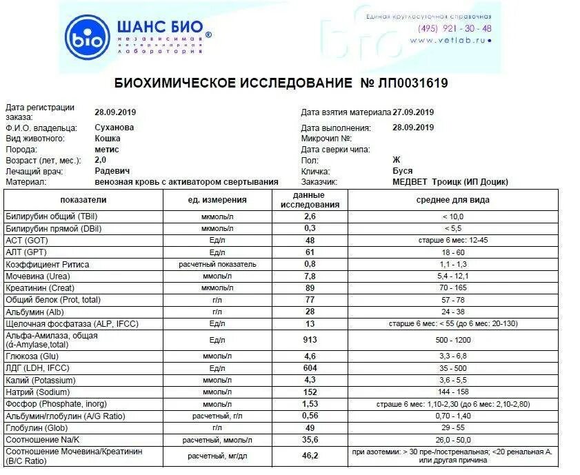 Креатинин в какой моче. Соотношение креатинин мочевина норма. Анализ мочи норма креатинин норма. Соотношение мочевина креатинин у кошек норма в крови. Нормы показателей креатинина и мочевины в крови.