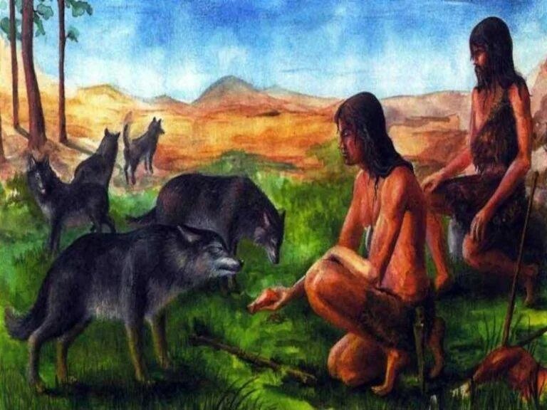 Некоторых животных люди издавна. Одомашнивание животных. одомашнивание собаки. одомашнивание животных в древности. первые прирученные животные.