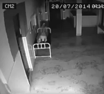 Жизнь под камерой