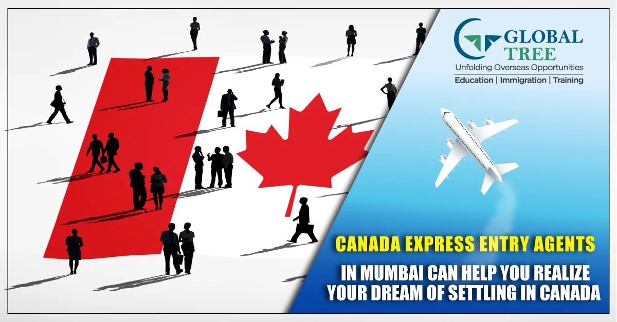 Express entry. Canada Express. Express entry candidates. Express entry Migration fee. Imuga immigration