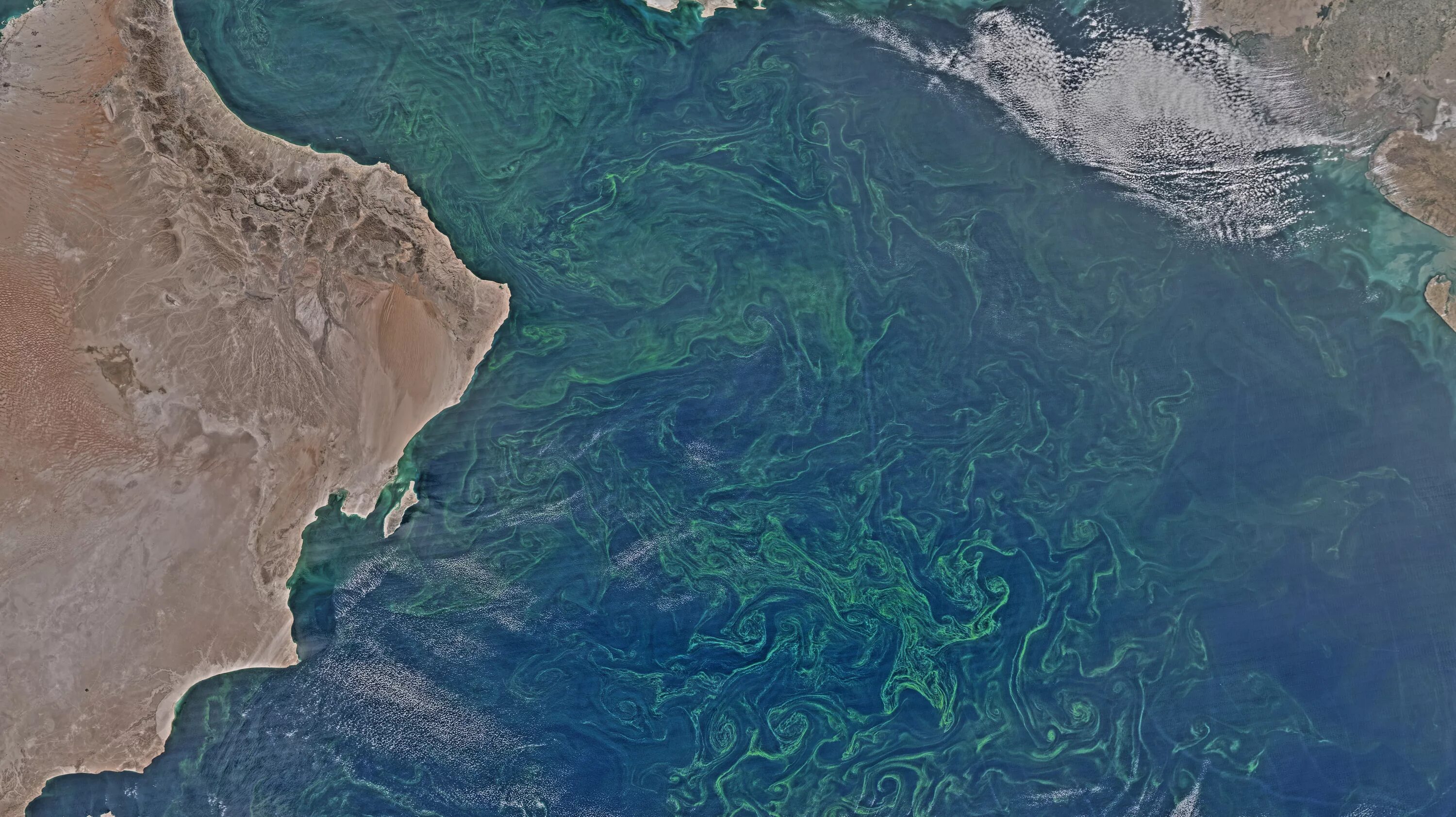 Аравийский какой океан. Оманский залив индийский океан. Индийский океан со спутника. Тихоокеанское море. Аравийское море дно.