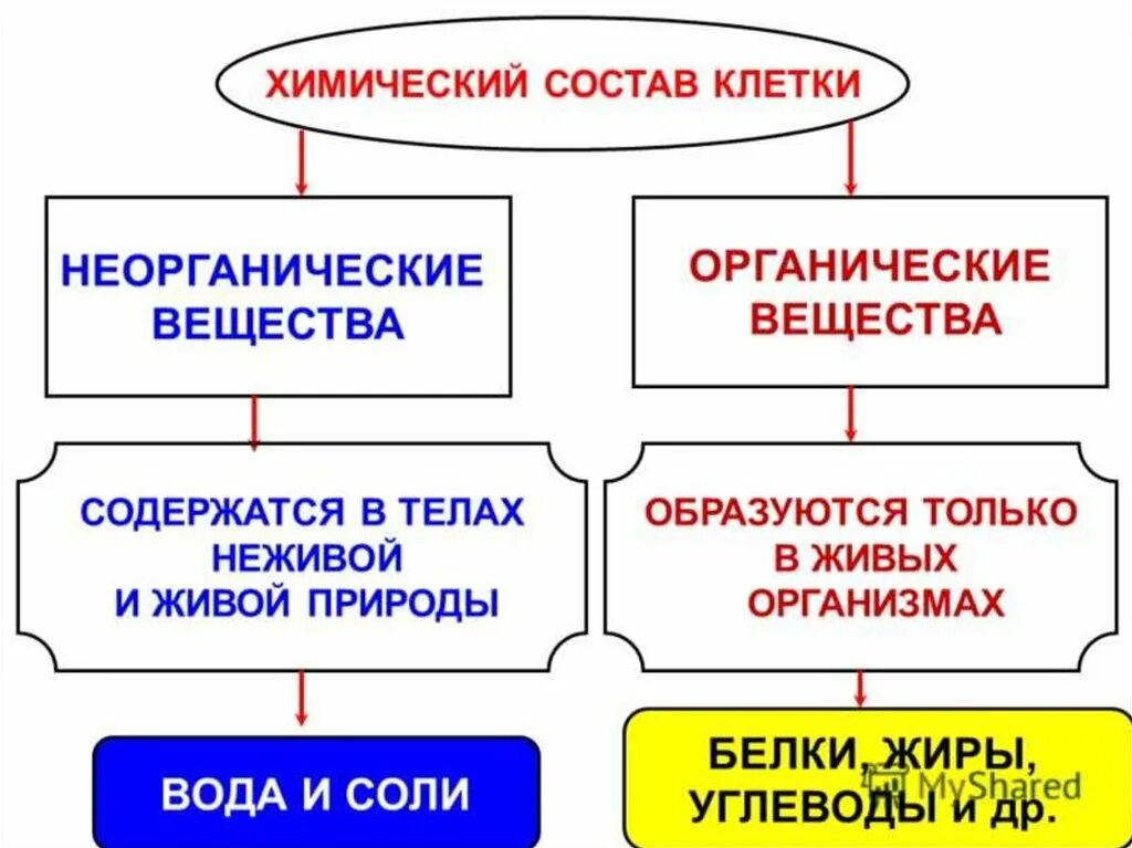 Химические соединения биология