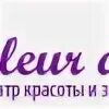 Салон флер де лис