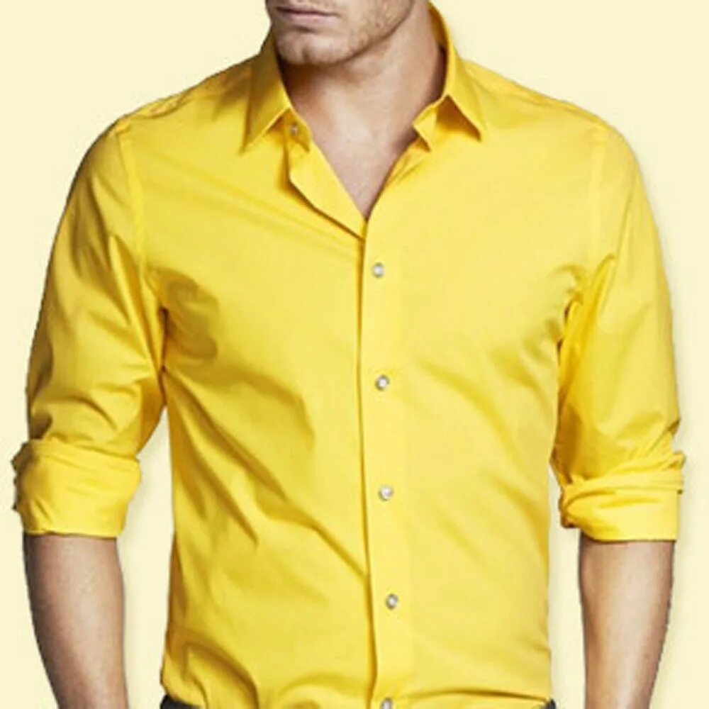 Industrialize Habitual pasta zara yellow shirt Postage essay she is