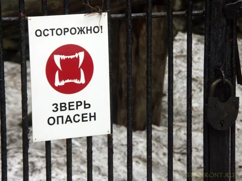 Осторожный зверь. Таблички в зоопарке. Осторожные звери. Осторожные звери. Осторожные звери.