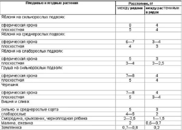 На каком расстоянии сажать саженцы. Расстояние между саженцами деревьев при посадке таблица. Расстояние между деревьями при посадке сада таблица и кустарники. Расстояние между деревьями при посадке плодовых деревьев. Расстояние между саженцами плодовых деревьев при посадке таблица.