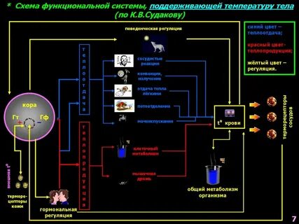 Системы поддержания температуры