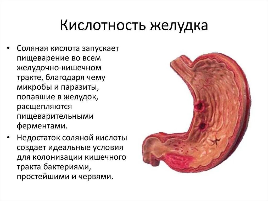 Можно ли вылечить гастрит